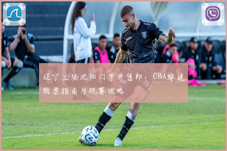 辽宁主场沈阳门票开售即,CBA球迷购票指南与观赛攻略