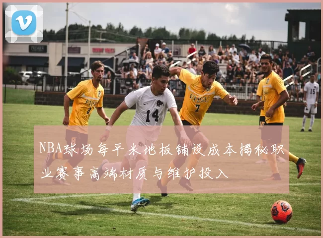 NBA球场每平米地板铺设成本揭秘职业赛事高端材质与维护投入