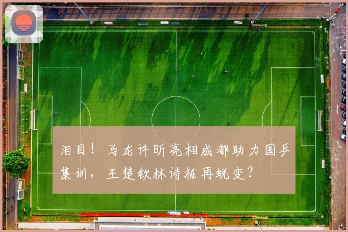 泪目！马龙许昕亮相成都助力国乒集训，王楚钦林诗栋再蜕变？