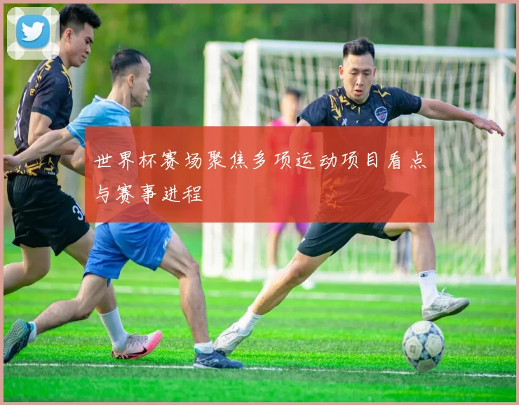 世界杯赛场聚焦多项运动项目看点与赛事进程