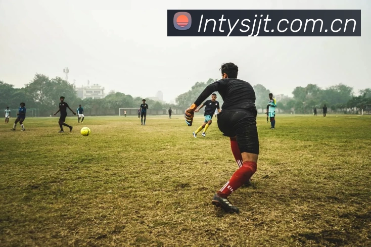 leyu乐鱼官方平台生态图