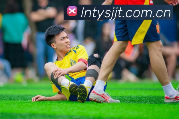 leyu乐鱼官方APP 封面图